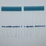 Universal Probe Tubes Azure Blue-40 Pack
